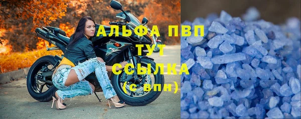 гашик Медвежьегорск