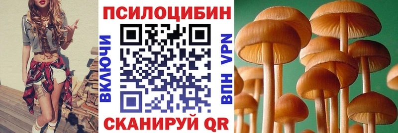 KRAKEN маркетплейс  Тбилисская  Псилоцибиновые грибы Cubensis 